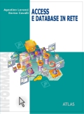 Access e database in rete